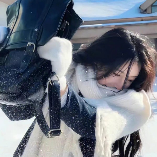 大湾区旅行者