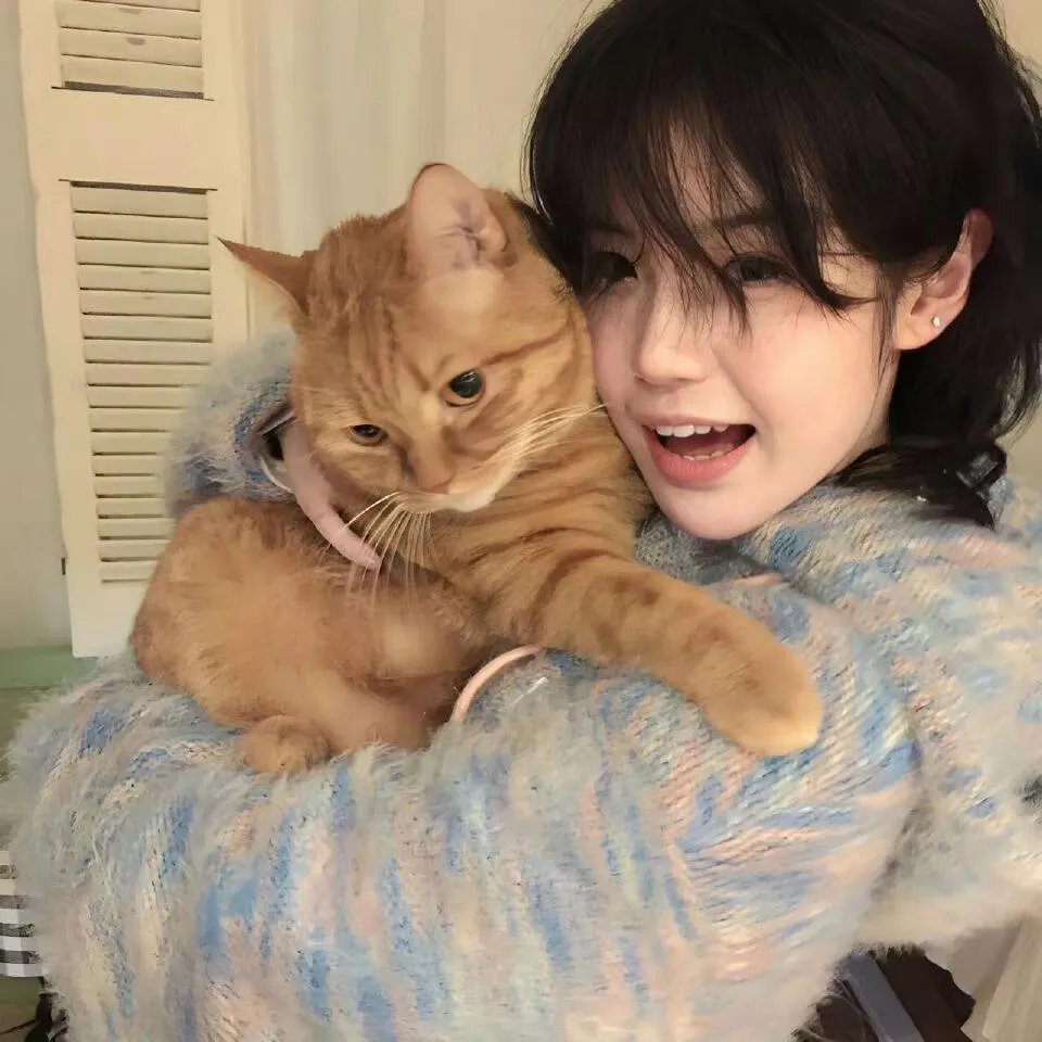 夏小姐的先婚后爱2